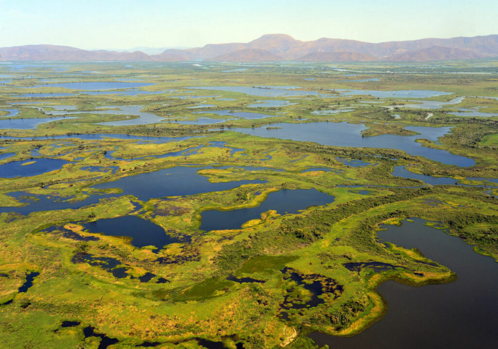 Wetlands-01