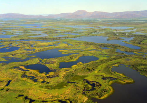 Wetlands-01